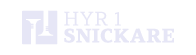 Hyr1Snickare